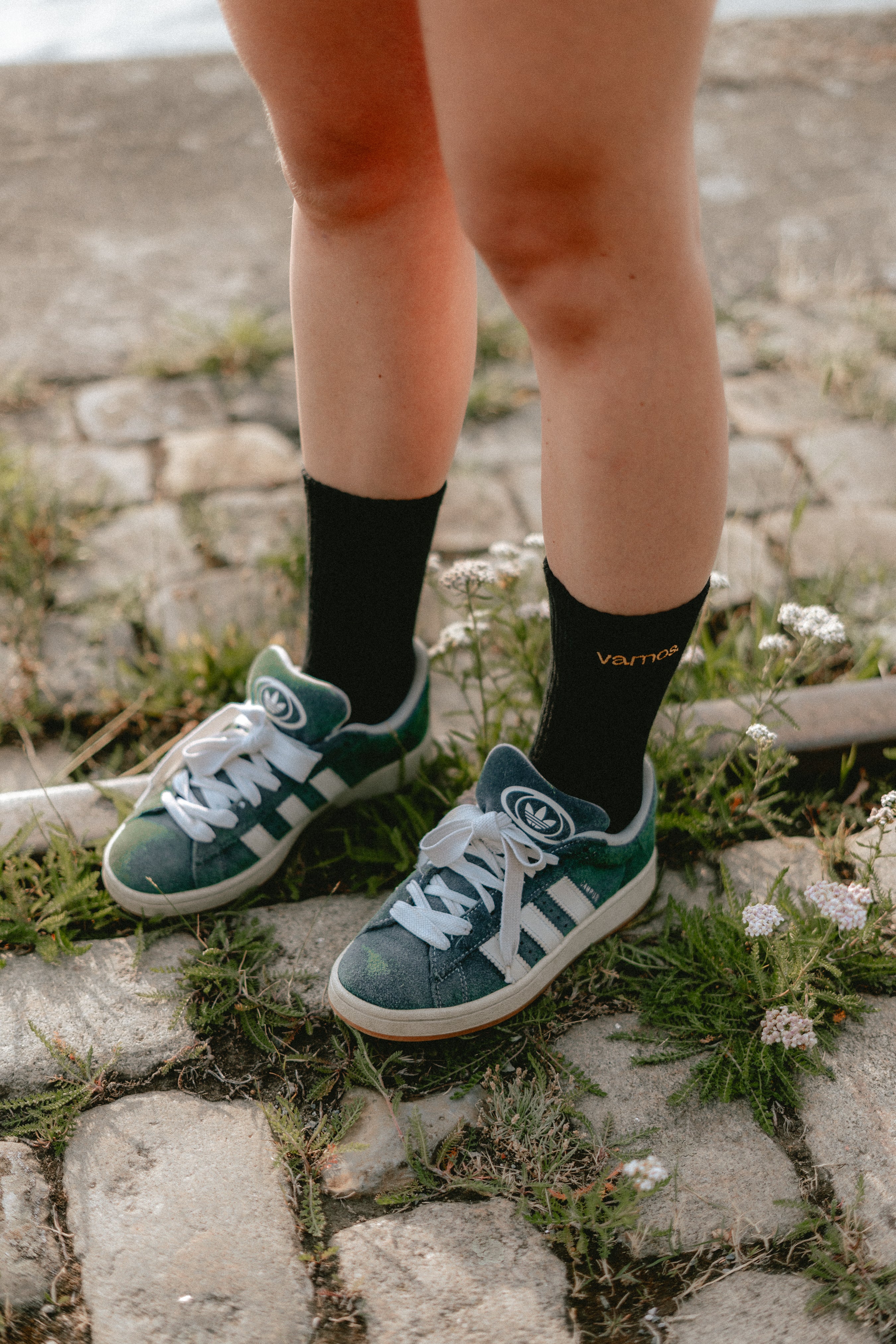 Vamos Socks - 3 pack